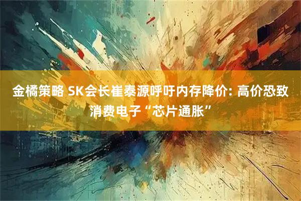 金橘策略 SK会长崔泰源呼吁内存降价: 高价恐致消费电子“芯片通胀”